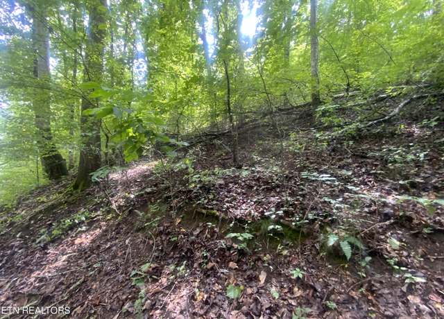 Property at Lot 64 Hiwassee View Dr, Jacksboro, TN 37757