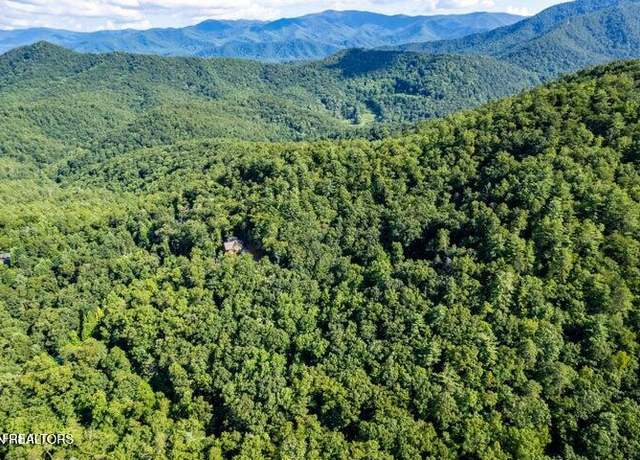 Property at 120 Greystone Way, Townsend, TN 37882