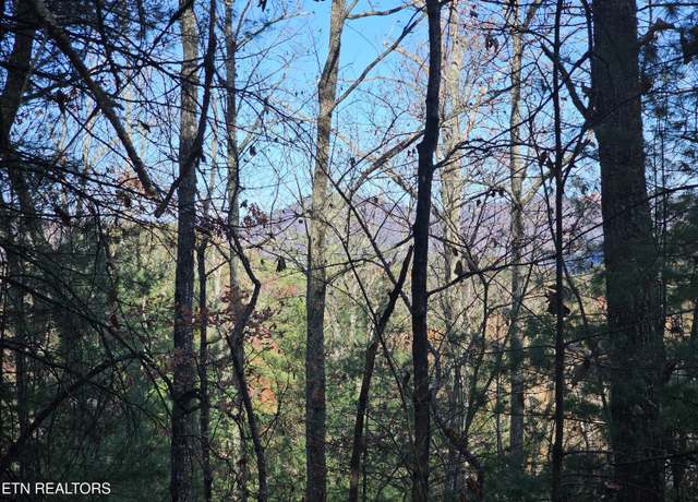 Property at 120 Greystone Way, Townsend, TN 37882
