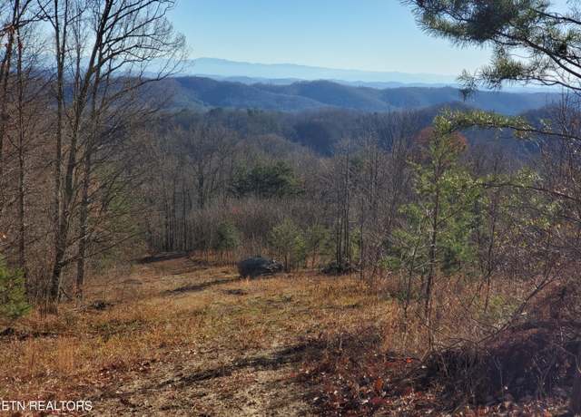 Property at Poor Vly, Rutledge, TN 37861
