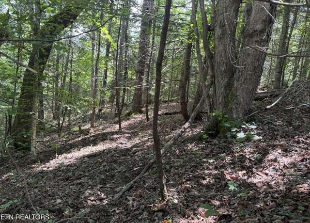 Property at Cove Hollow Rd, Cosby, TN 37722