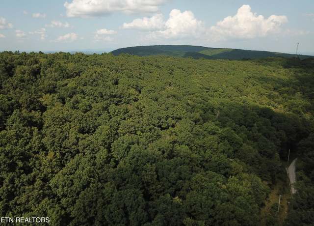 Property at Millstone Mountain Rd, Rockwood, TN 37854