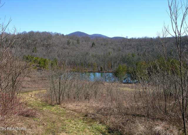 Property at Shady Grove Rd, Lancing, TN 37770