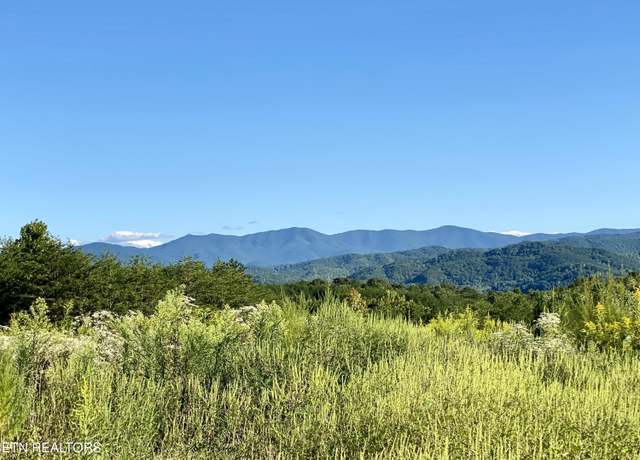 Property at 597 & 617 Curtis Rd, Tellico Plains, TN 37385