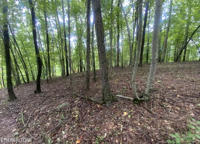 Property at Lot 121 Hiwassee View Dr, Jacksboro, TN 37757