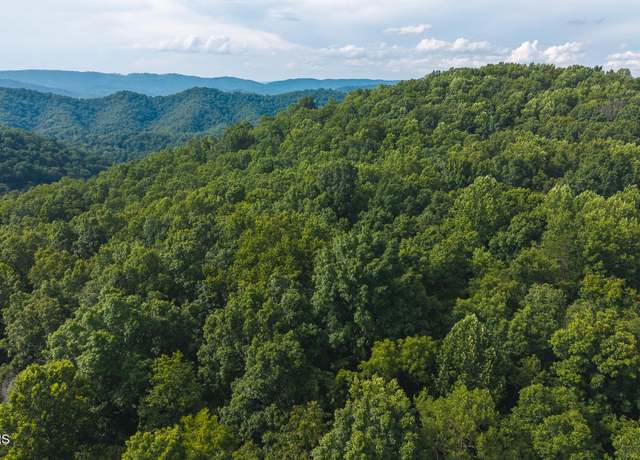Property at 0 Gravely Valley Rd, Eidson, TN 37731