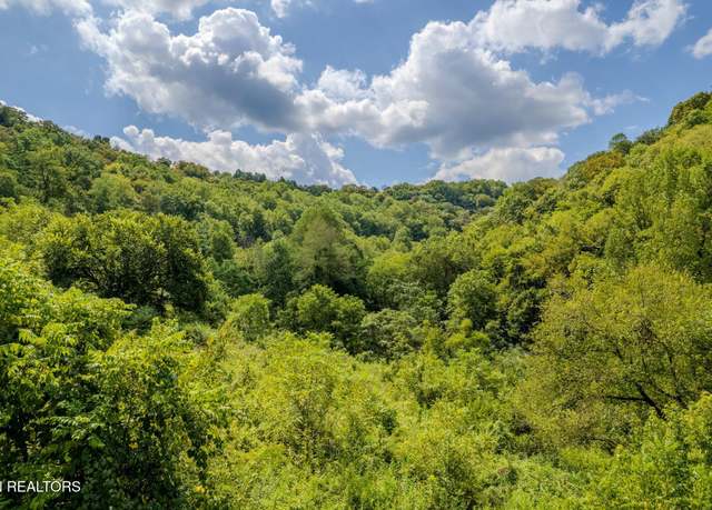 Property at 53.19AC Watts Hollow Rd, Buffalo Valley, TN 38548