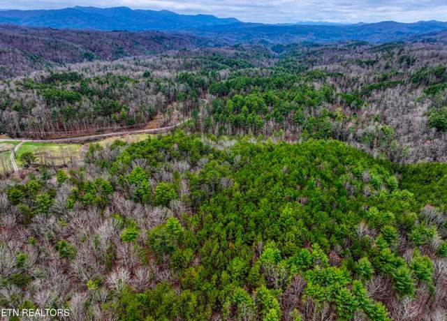 Property at 57.09 acs Rafter Rd, Tellico Plains, TN 37385