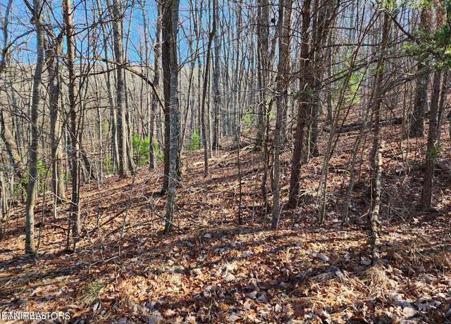 Property at 56/58 Homberg Ln, Fairfield Glade, TN 38558
