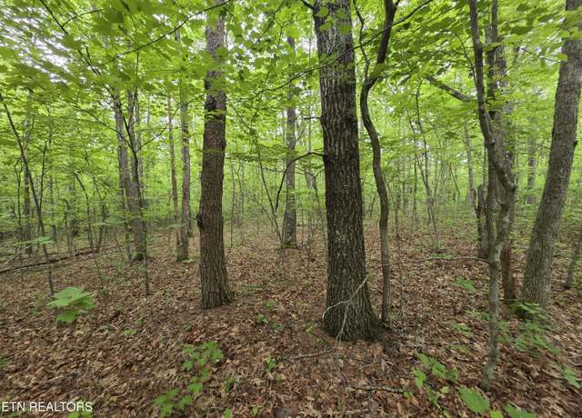 Property at 4 Cumberland Lakes Dr, Monterey, TN 38574