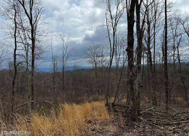 Property at Bench Rd. 34.97 Acres, Pikeville, TN 37367