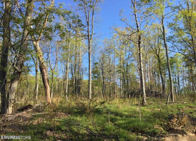 Property at Bench Rd. 34.97 Acres, Pikeville, TN 37367