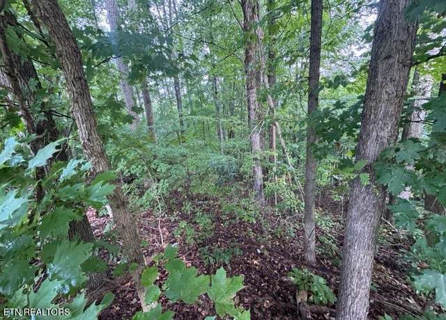 Property at 000 Seminole Ln, Dayton, TN 37321