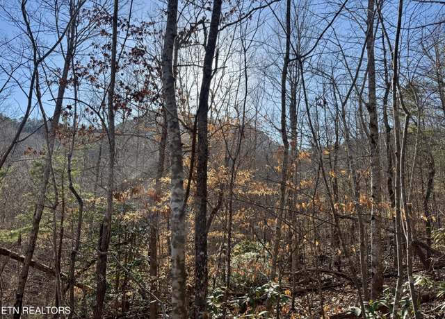 Property at Gibson Hollow. 2.33 Acres Rd, Sevierville, TN 37876