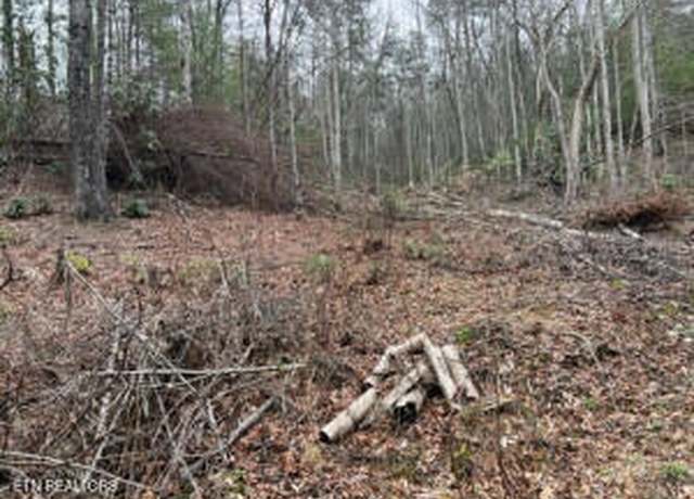 Property at Coy Rhea Way, Sevierville, TN 37876