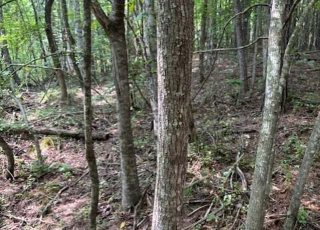 Property at Indigo Bunting Dr, Harriman, TN 37748