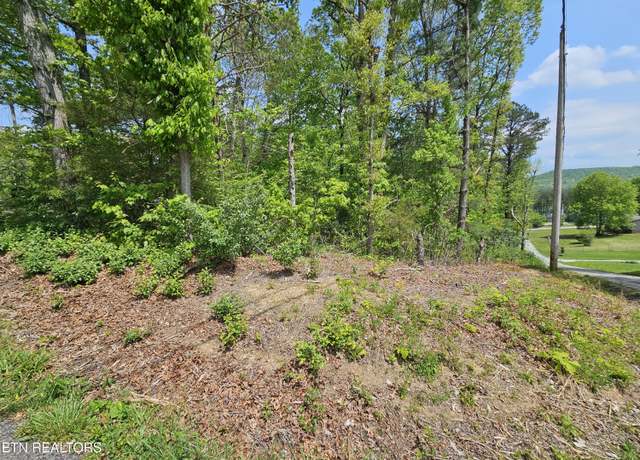 Property at Sutherland Dr, Helenwood, TN 37755