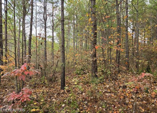 Property at Lot 5 W Robbins Rd, Robbins, TN 37852