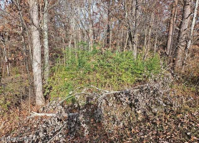 Property at Lots 29/30 Smyrna Hts, Evensville, TN 37332