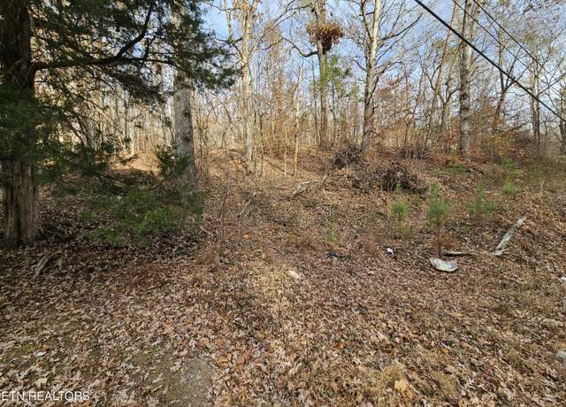 Property at Lot 7 Smyrna Rd, Evensville, TN 37332