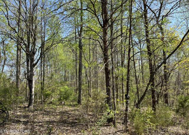 Property at 1.01 AC Fairview Rd, Tellico Plains, TN 37385