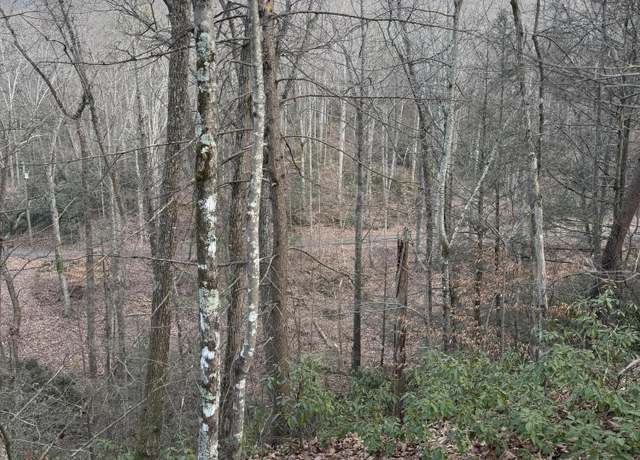 Property at Goose Creek Lot #1 Rd, Seymour, TN 37865