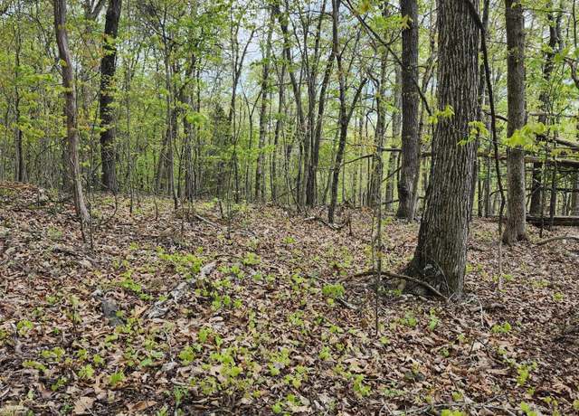 Property at Spruce Dr, Spring City, TN 37381