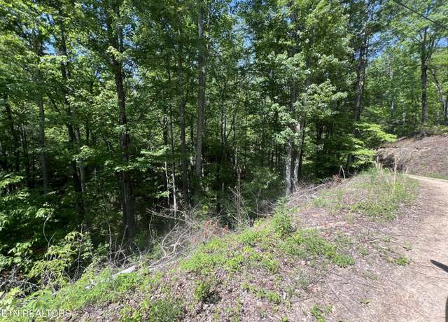 Property at lot 55 Black Oak / Lot 26 Butternut Pl, Sevierville, TN 37876