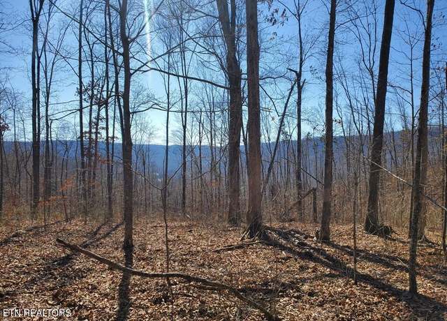 Property at 1A Junaluska Dr, Jamestown, TN 38556