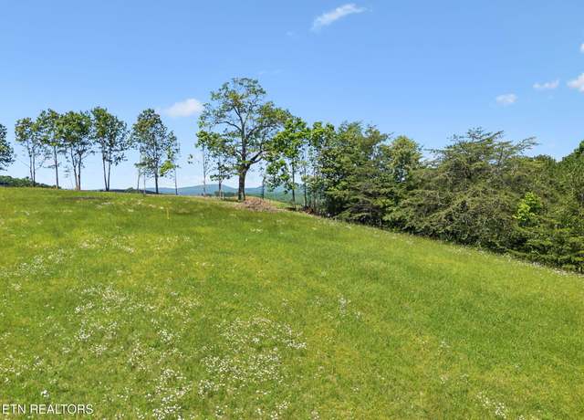 Property at 00 Lot 9 & 10 Big Neck Rd, Grandview, TN 37337