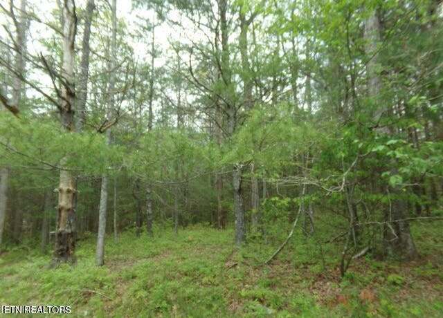 Property at 20 Paola Dr, Crossville, TN 38572