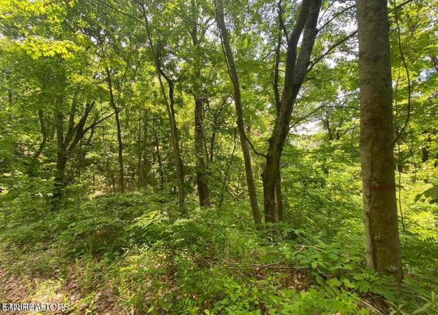 Property at Lot 61 High St, Sevierville, TN 37876