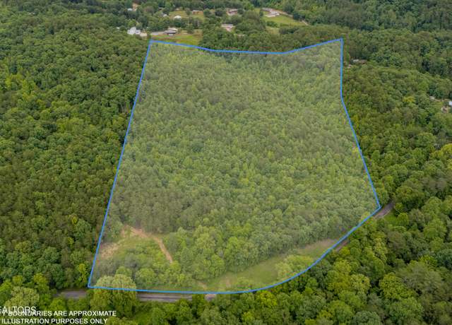 Property at Wiggins Rd, Tellico Plains, TN 37385