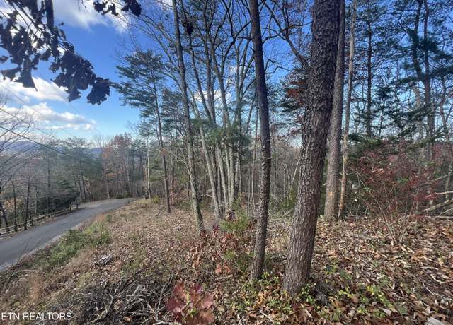 Property at Pine Haven Dr, Sevierville, TN 37862