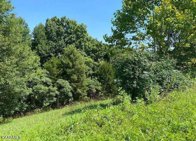 Property at Lot 255 Marble Point Way, New Tazewell, TN 37825