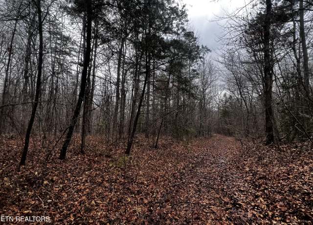 Property at Lot 31 Tiffany Ln, Jamestown, TN 38556