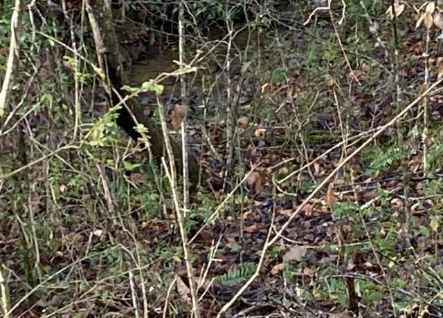 Property at Lot 53A Fiesta Blvd, Sevierville, TN 37876