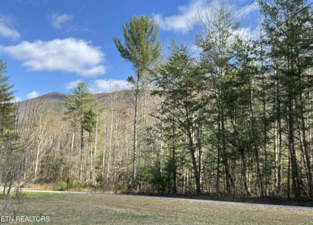 Property at Cougar Trail 3ac, Del Rio, TN 37727
