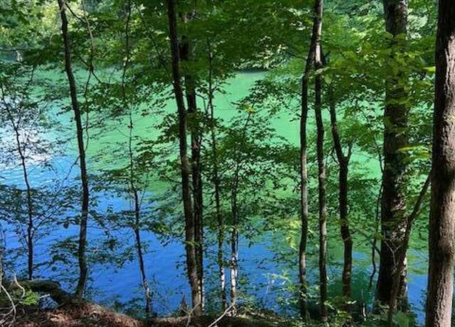 Property at Cheri Ln Lot 62, Caryville, TN 37714