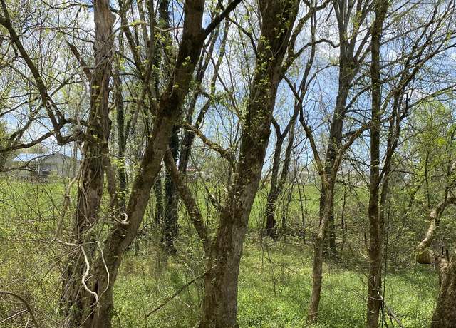 Property at TBD Vista View Dr, Ewing, VA 24248