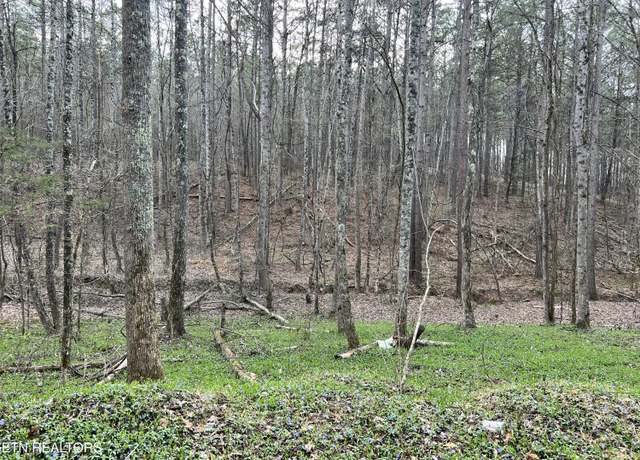 Property at Butler Road Lot 4, Decatur, TN 37322