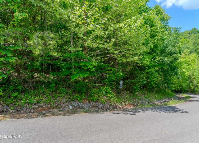 Property at Lot 518 Mystic Star Dr, New Tazewell, TN 37825