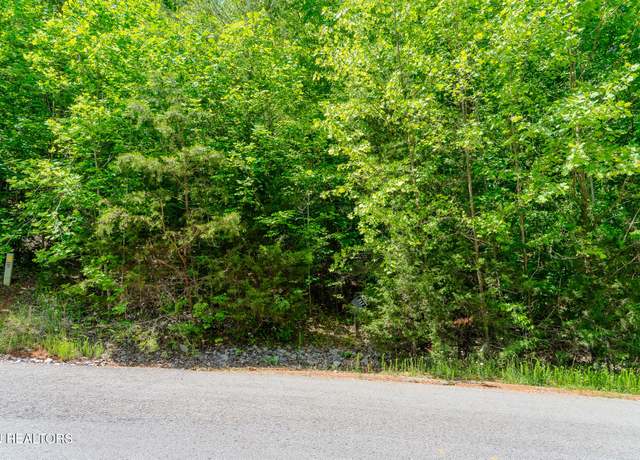 Property at Lot 517 Mystic Star Dr, New Tazewell, TN 37825