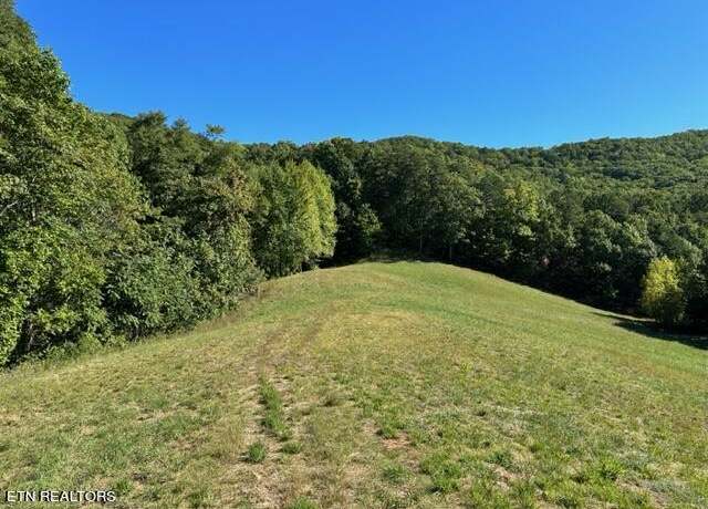 Property at 1585 Neddy Mountain Rd, Del Rio, TN 37727