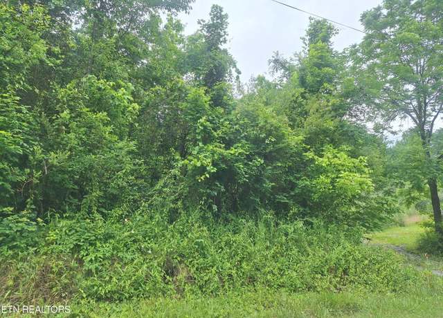 Property at 274/278 Laurel Mountain Loop, Madisonville, TN 37354