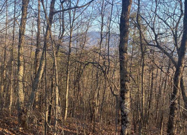 Property at D-7 Lightning Bug Way, Gatlinburg, TN 37738
