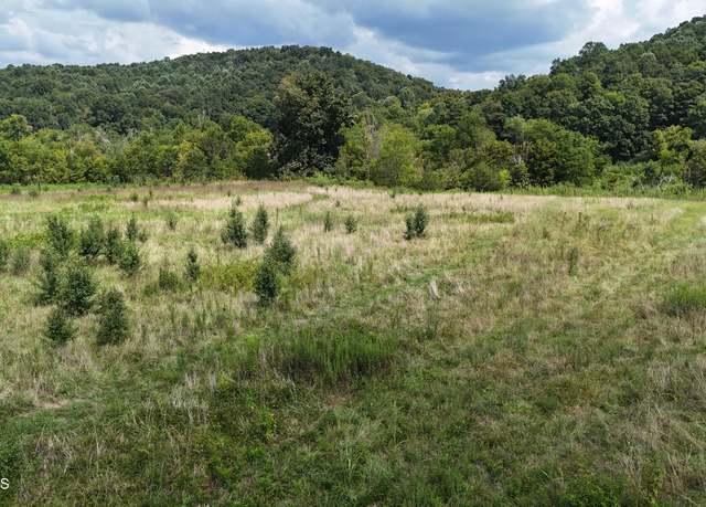 Property at 0 County Road 60, Riceville, TN 37370