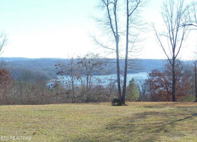 Property at 140 Quail Hollow Cv, Spring City, TN 37381