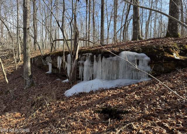 Property at Lot 37 Crystal Pt, Monterey, TN 38574