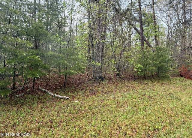 Property at 0 Mountain Ash Dr, Monterey, TN 38574